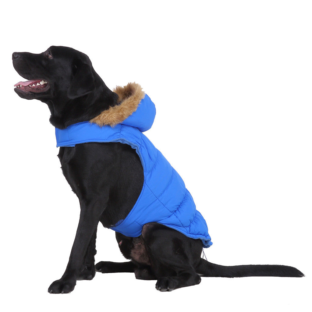 Cappotto per Cani Imbottito in Pile con Cappuccio in Ecopelliccia - Eleganza e Calore per il Tuo Amico a Quattro Zampe