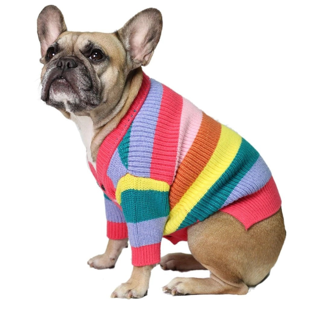 Maglione per Cani "Arcobaleno" – Morbido, Colorato e Super Trendy