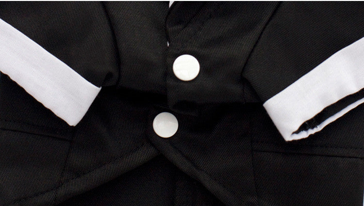 Dog formal dress tuxedo "Filippo"