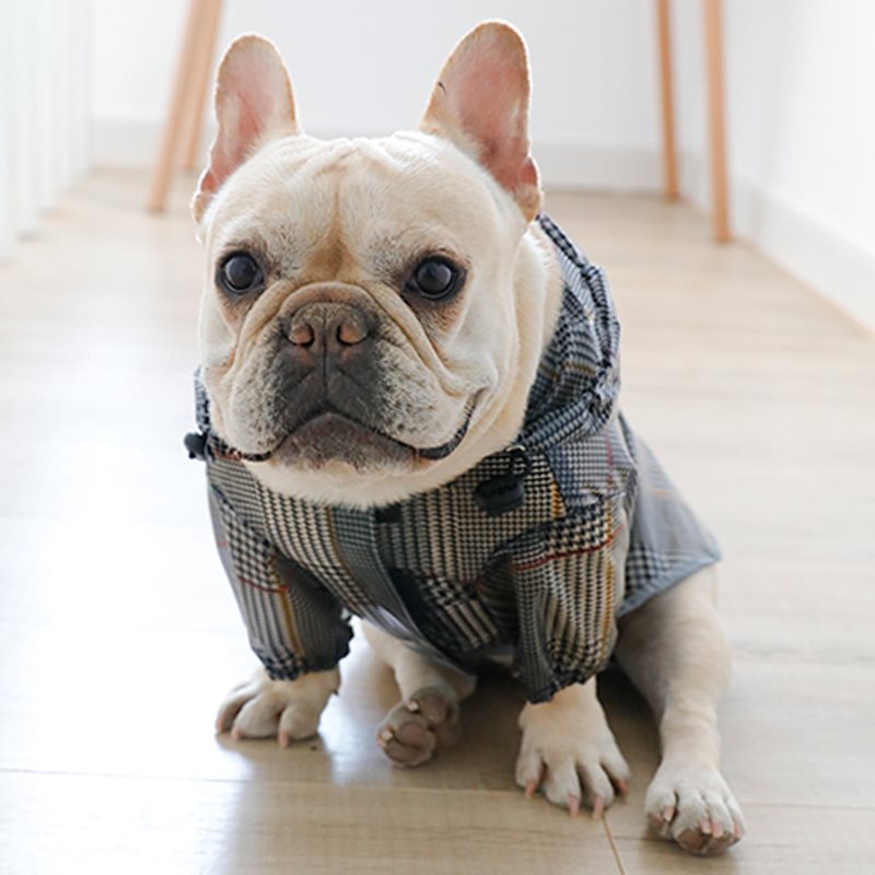 "Scottish" Dog Raincoat - Elegance and Protection for Your Four-Legged Friend