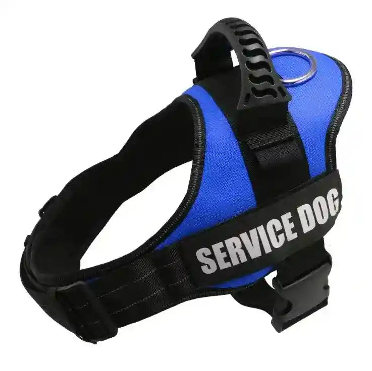 Pettorina Service Dog in Training - Maniglione Gomma by Dog Moda