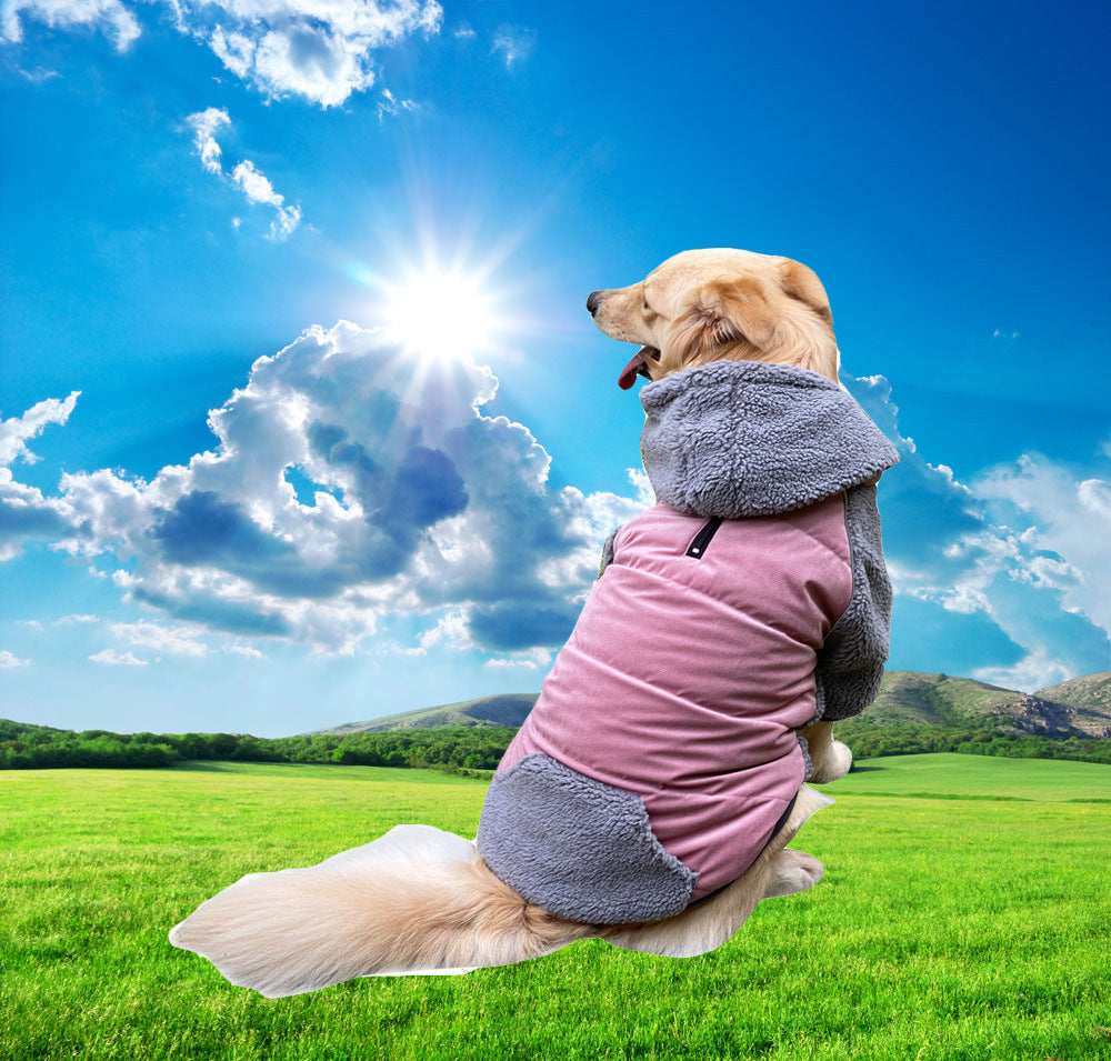 Cappotto per Cani con Cappuccio in Pile Staccabile | Dogmoda