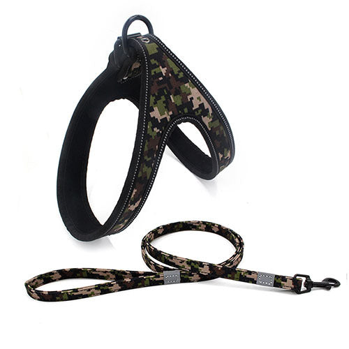 Y-shaped dog harness and leash "Variopinto" model
