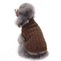 Gray poodle wearing a brown cable knit sweater sitting against a white background