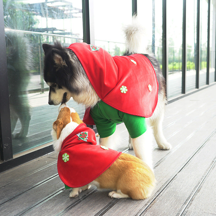 Christmas Poncho for Dogs – Festive and Cozy