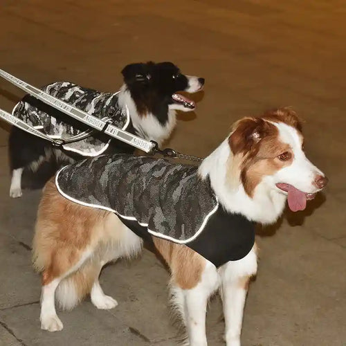 Reflective Technical Winter Dog Coat - Safety
