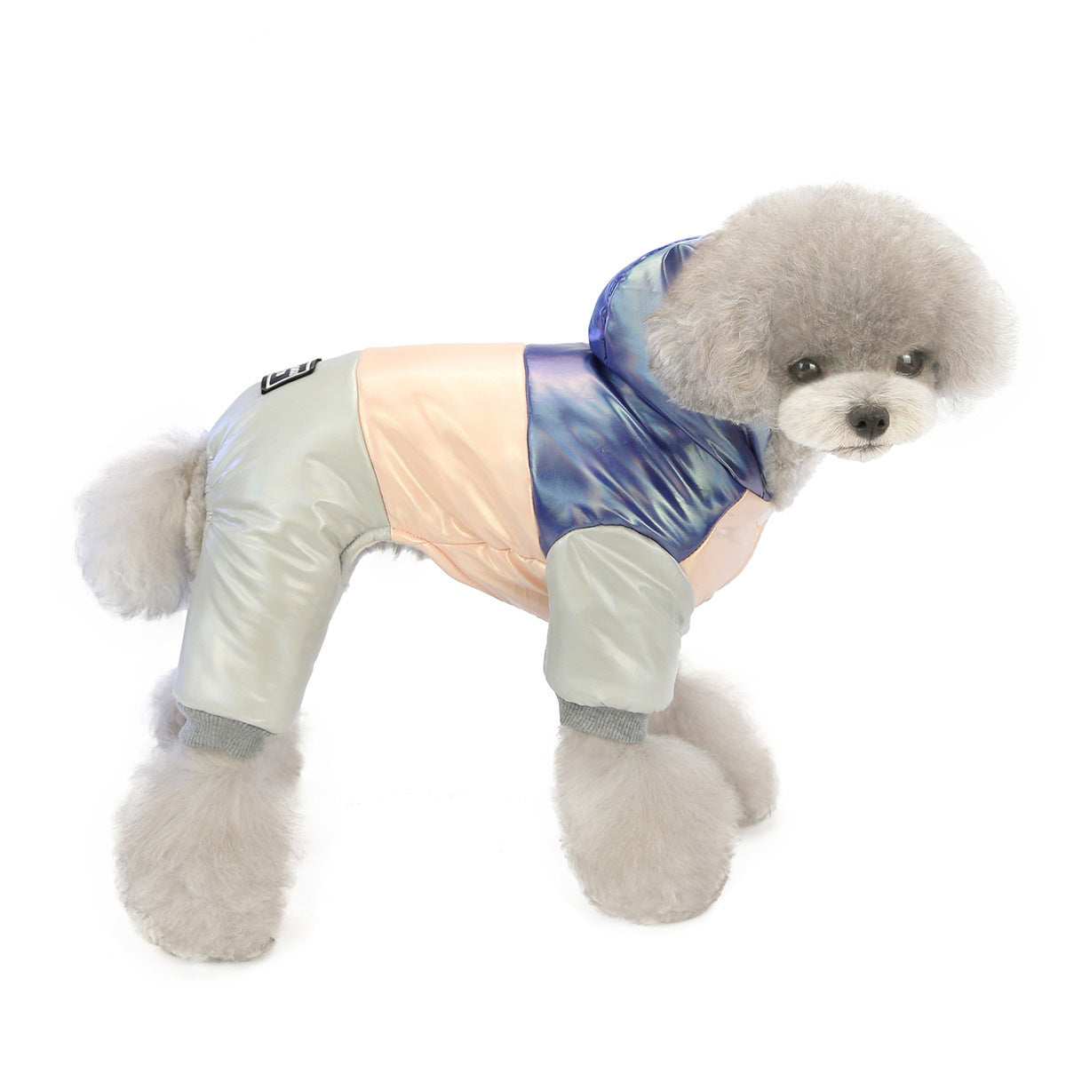 Toy Poodle Coat "Dadagou" | Elegance and Comfort for Four-Legged Dogs 