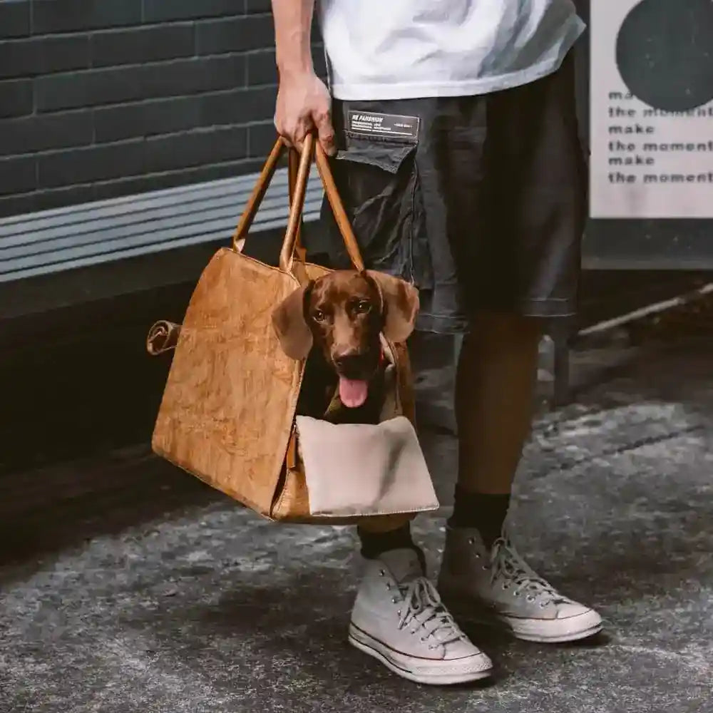 Borsa Trasportino per Cani e Gatti con Tracolla by Dog Moda