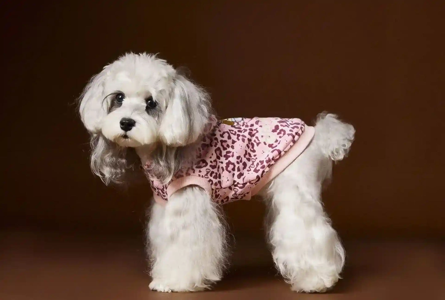 Maglia Tawney Bear Leopardata con Cappuccio - Smanicata by Dog Moda