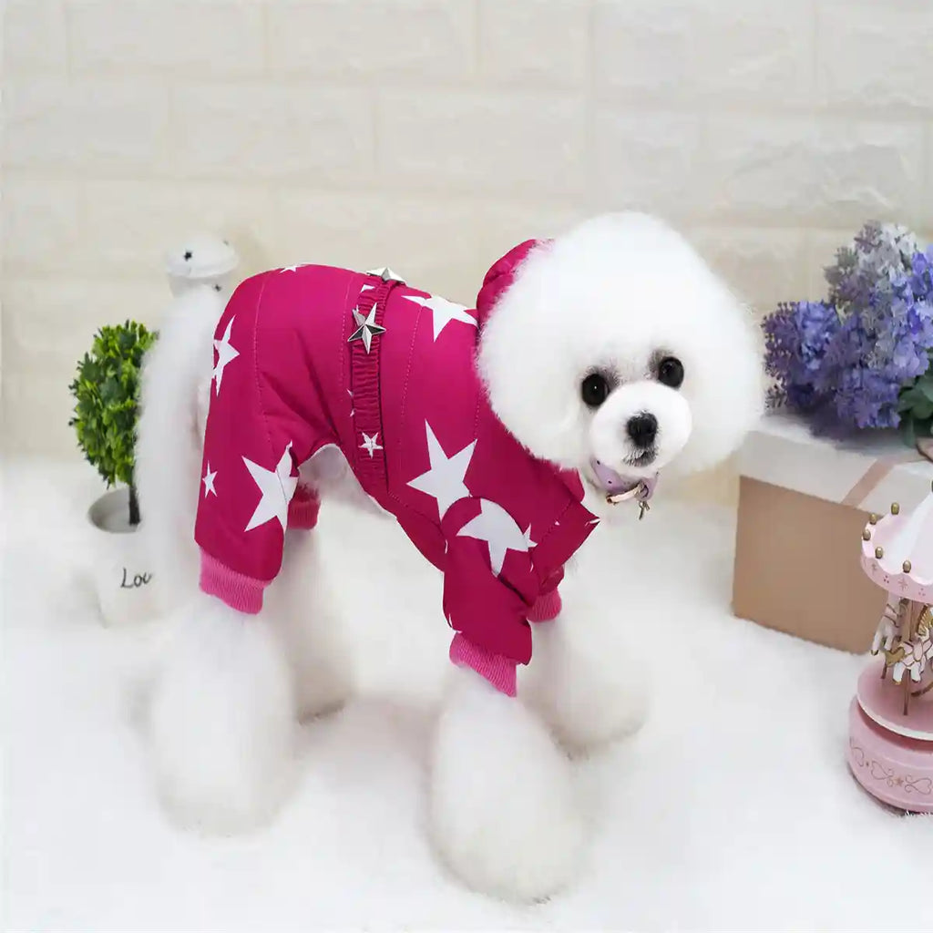 Ropa para perros mascota Ropa para caniche Otoño e invierno Ropa acolchada de algodón grueso con estrellas y cuatro patas