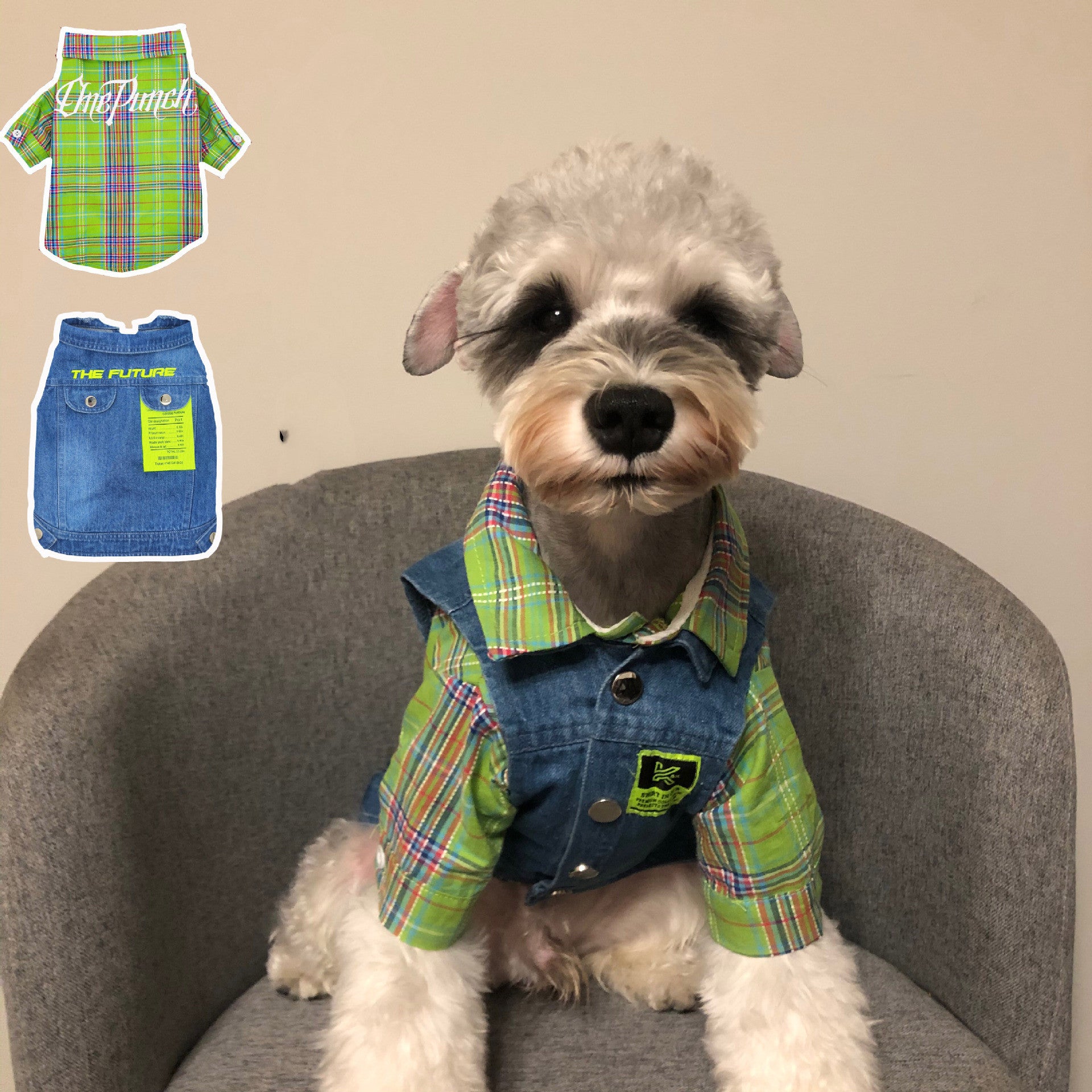 Set aus Jeansbluse und Weste für Hunde, Modell „Punch“