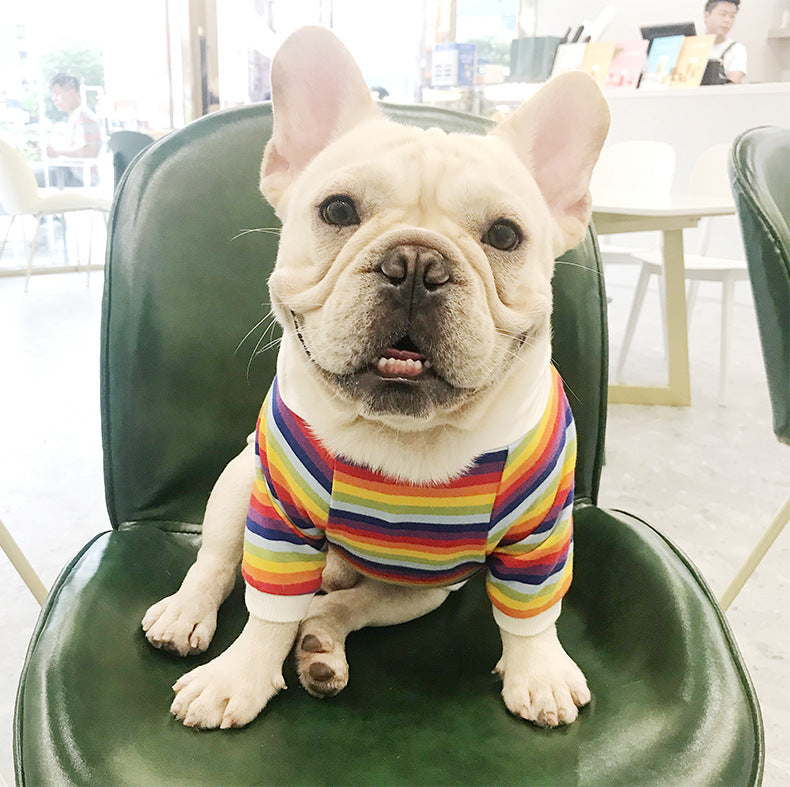 Maglia Cani Rainbow a Righe - Cotone Elasticizzato