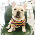 レインボーストライプ犬用セーター - ストレッチコットン
