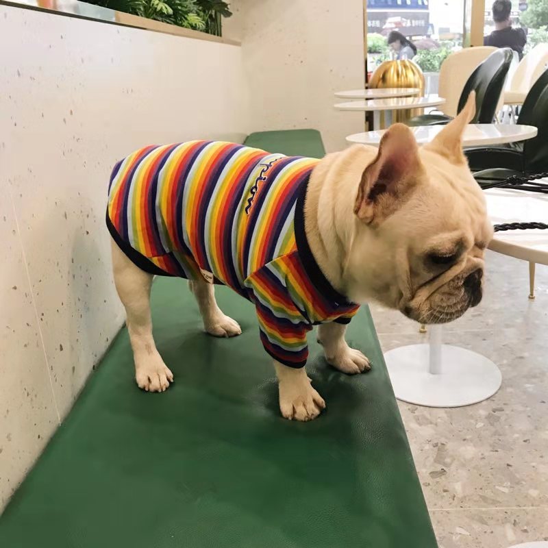 Maglia Cani Rainbow a Righe - Cotone Elasticizzato