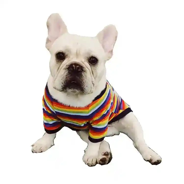 Maglia Cani Rainbow a Righe - Cotone Elasticizzato by Dog Moda