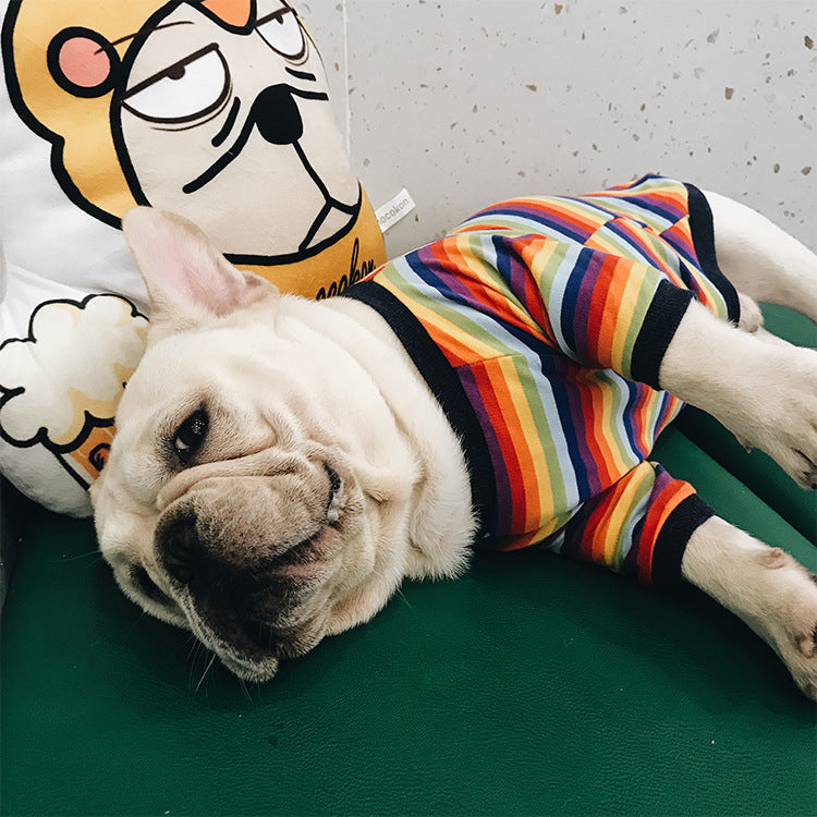 Maglia Cani Rainbow a Righe - Cotone Elasticizzato