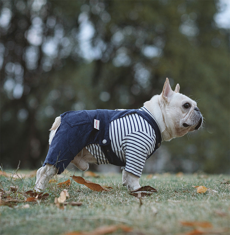 Striped overalls for dogs with pure cotton T-shirt "Malaga"