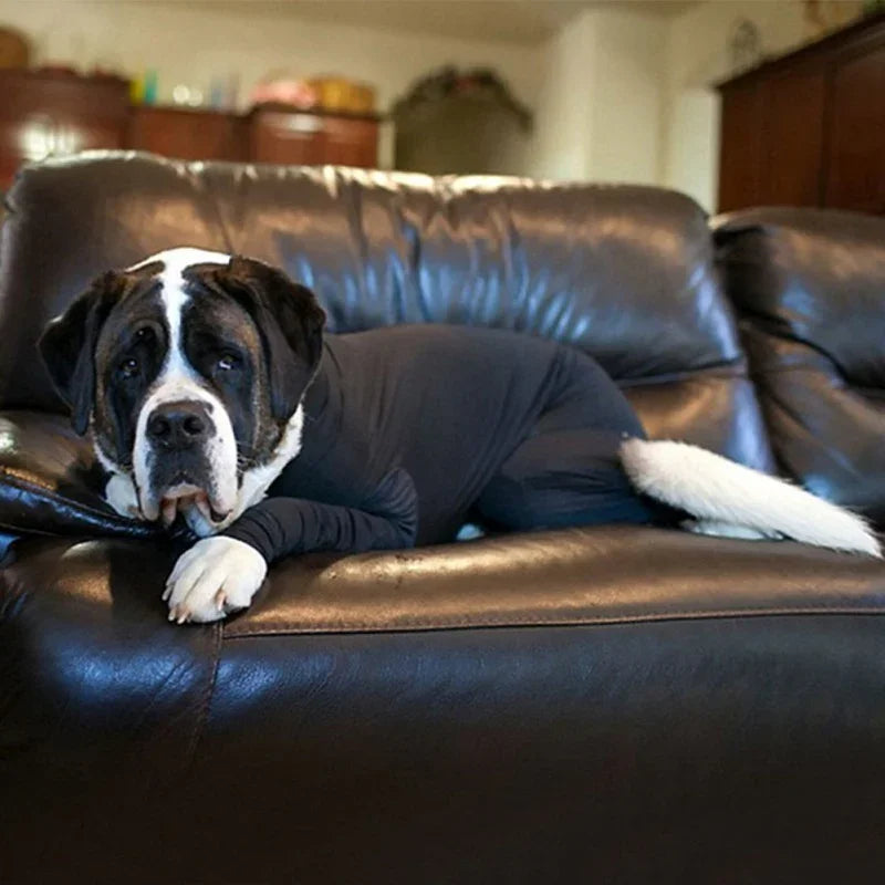 Tuta Elasticizzata Anti-Pelo per Cani Taglia Grande