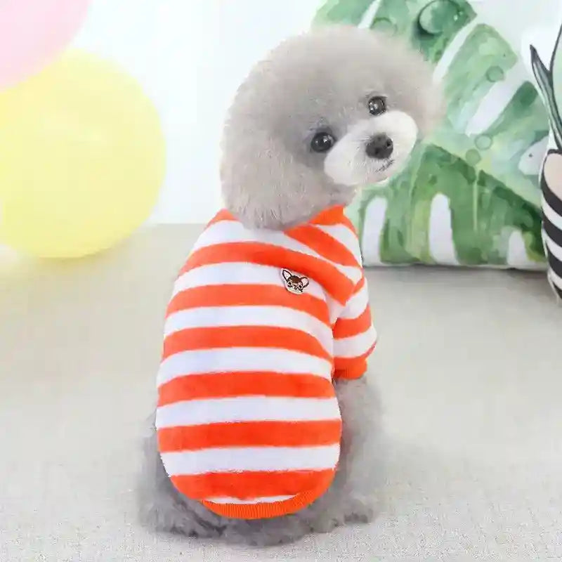 Maglia in Pile per Cani a Righe - Ricamo Chihuahua by Dog Moda