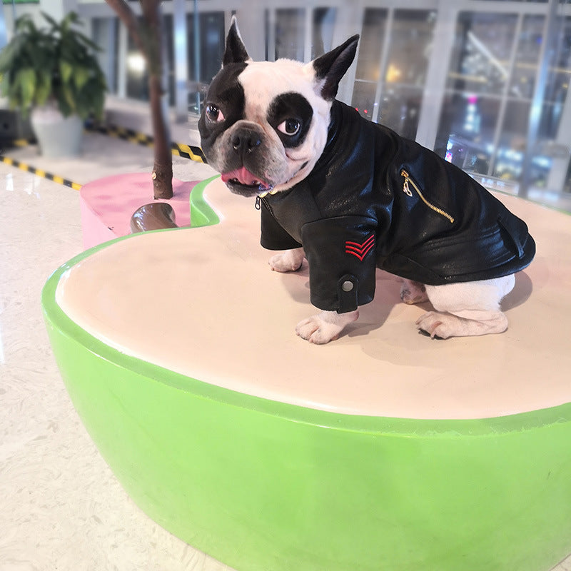 Giacca in Pelle per Bulldog - Stile Rock con Tasche e Zip - Dog Moda