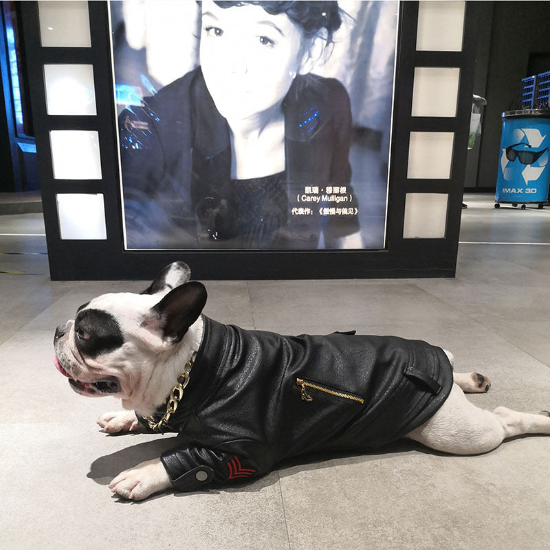 Giacca in Pelle per Bulldog - Stile Rock con Tasche e Zip - Dog Moda