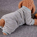 Small brown curly dog wearing a cozy gray ribbed sweater lying on a gray carpet