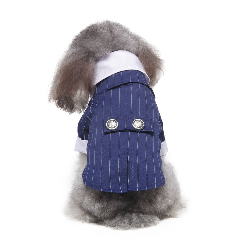 Dog formal dress with tie "Clio"
