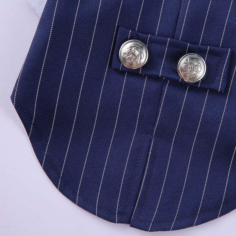 Dog formal dress with tie "Clio"