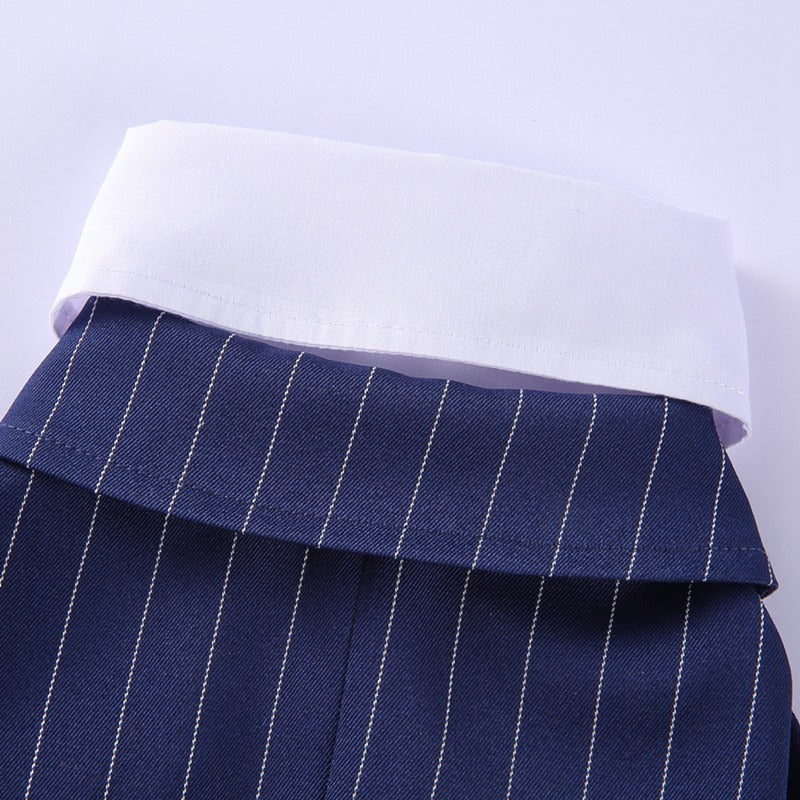 Dog formal dress with tie "Clio"