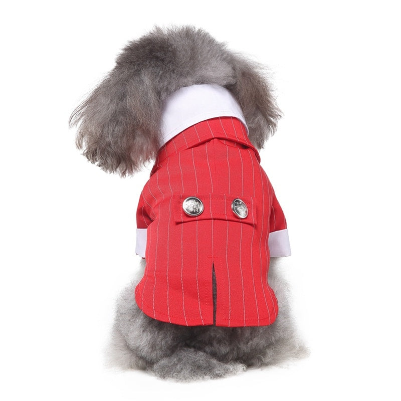 Dog formal dress with tie "Clio"