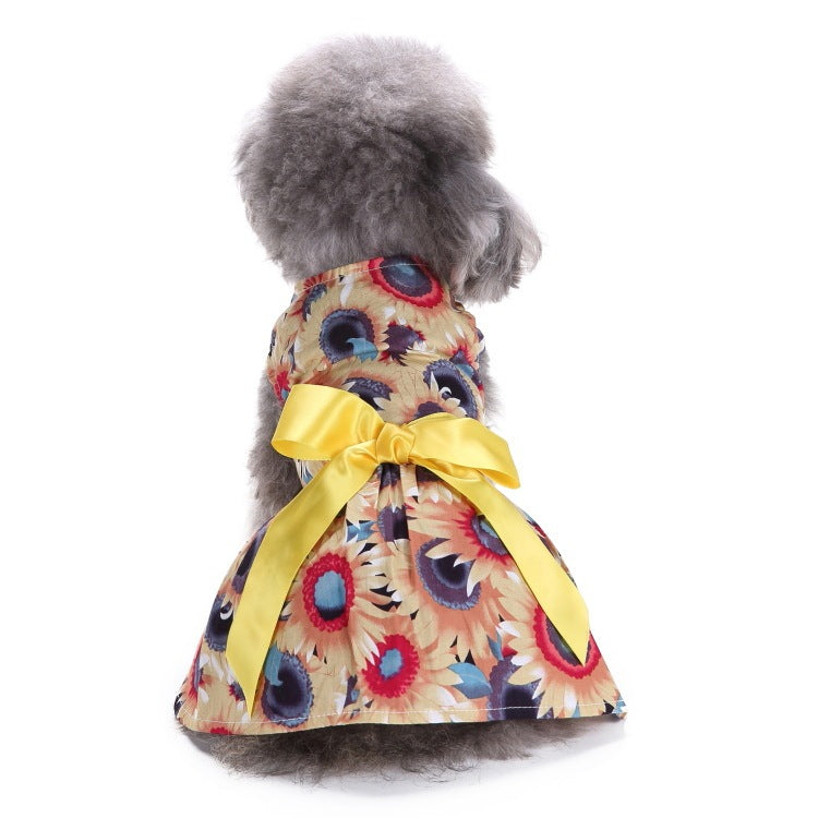 Elegant Dog and Poodle Dress