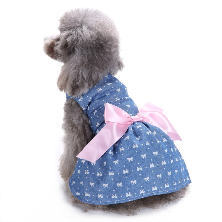 Elegant Dog and Poodle Dress