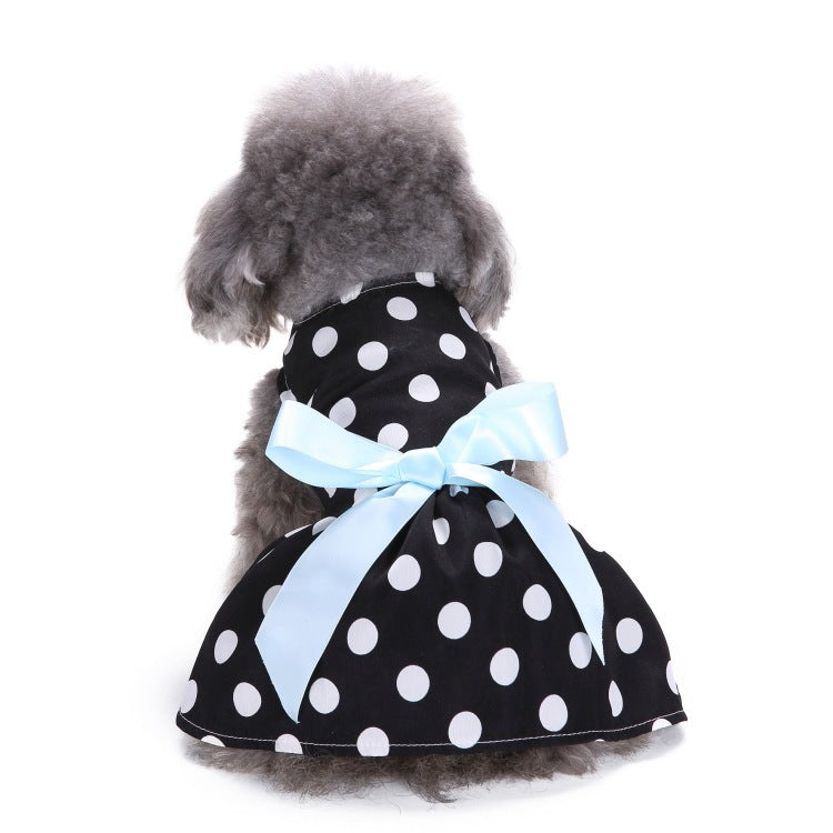 Elegant Dog and Poodle Dress