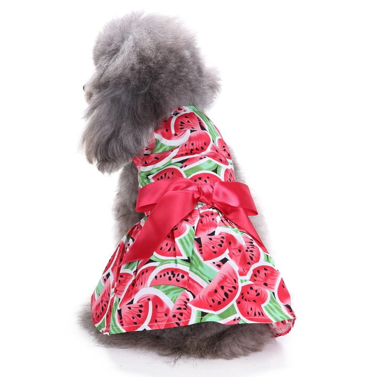 Elegant Dog and Poodle Dress