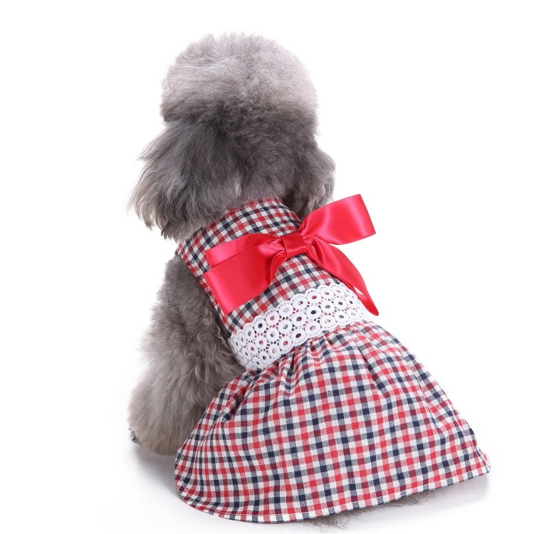 Elegant Dog and Poodle Dress