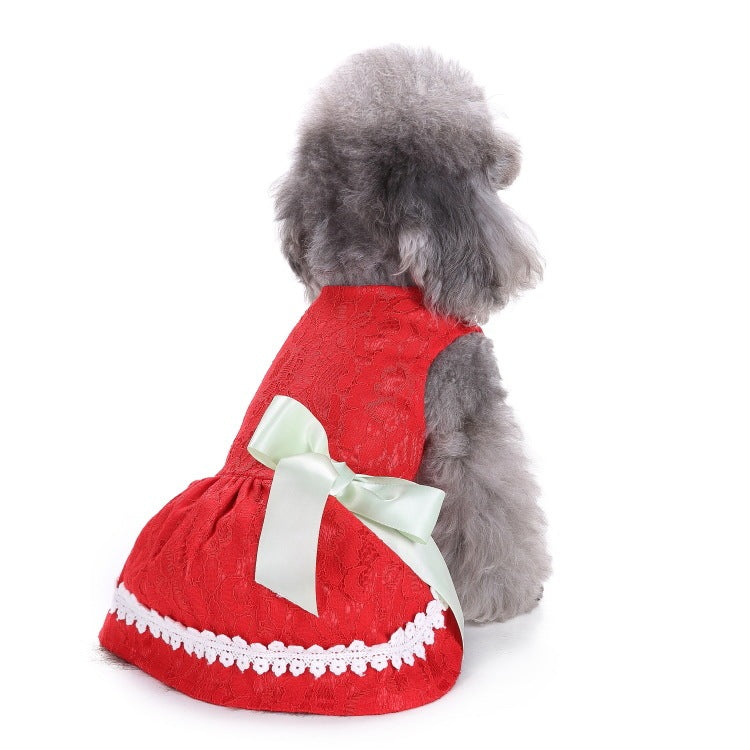 Elegant Dog and Poodle Dress