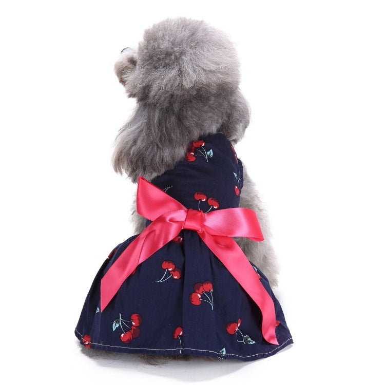 Elegant Dog and Poodle Dress