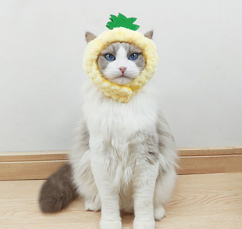 Fruit Ninja Hat for Cats and Small Dogs