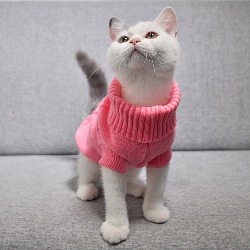 Maglione per Gatti con Lavorazione a Treccia e Collo Alto – Morbidezza e Stile per il Tuo Micio