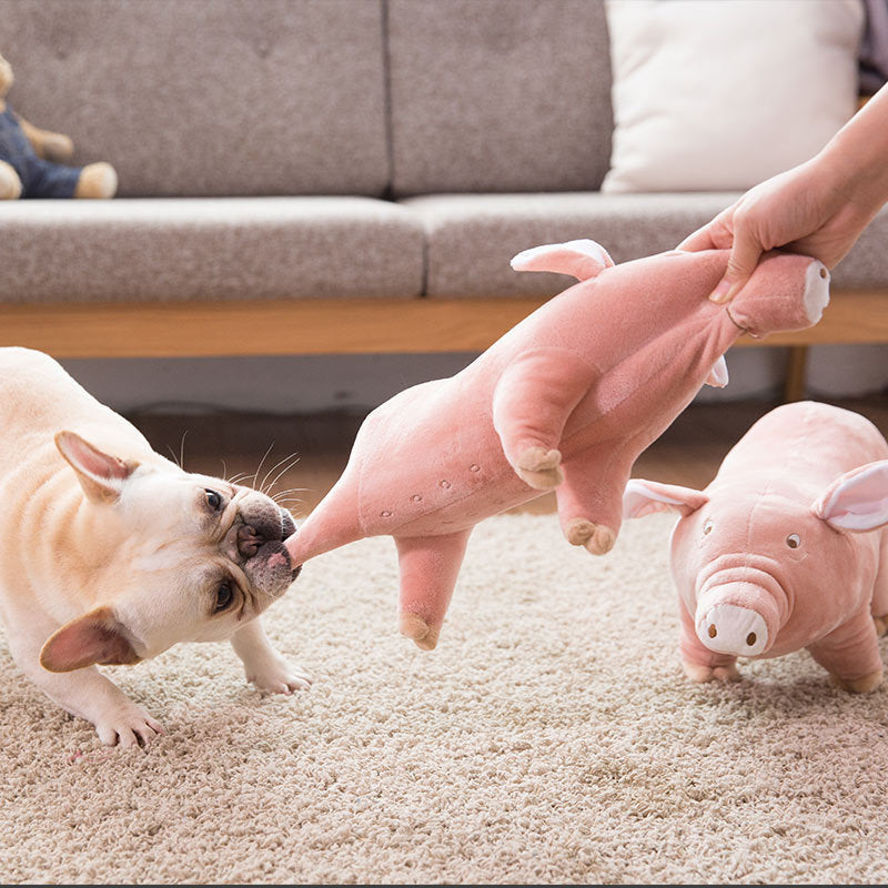 Peluche per Cani "Maialino Ghiottone" – Divertimento e Relax per il Tuo Amico a Quattro Zampe