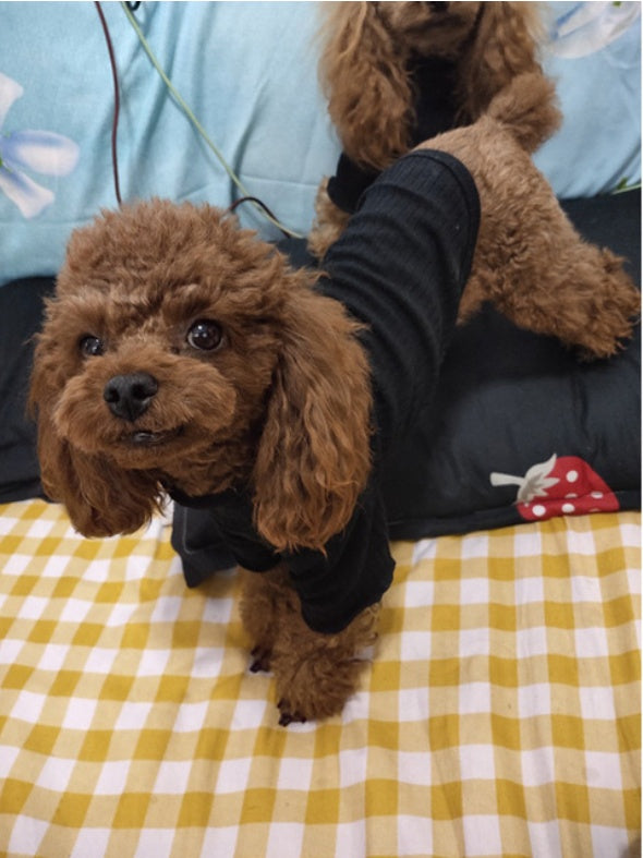 Maglietta per Cani Modello "Lilly" a Righe – Leggera, Traspirante ed Elasticizzata - Dog Moda