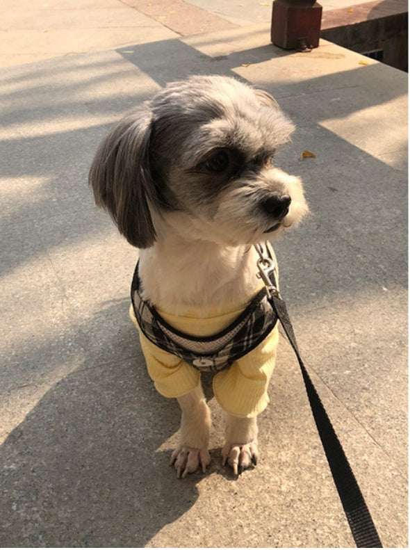 Maglietta per Cani Modello "Lilly" a Righe – Leggera, Traspirante ed Elasticizzata - Dog Moda