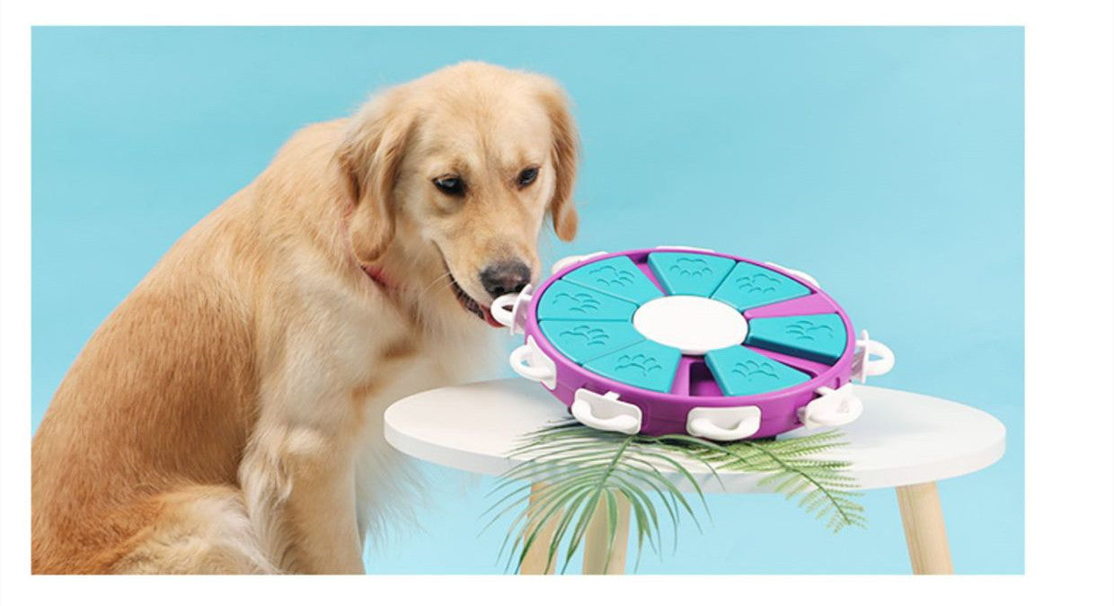 Dog Puzzle with Perforated Caps: The Smart Game That Stimulates Your Four-Legged Friend's Mind