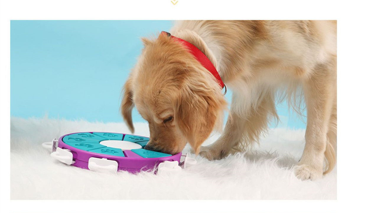 Dog Puzzle with Perforated Caps: The Smart Game That Stimulates Your Four-Legged Friend's Mind