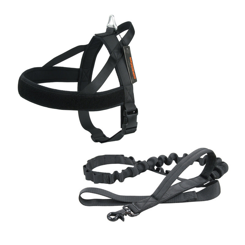 Customizable dog harness "Dynamic"