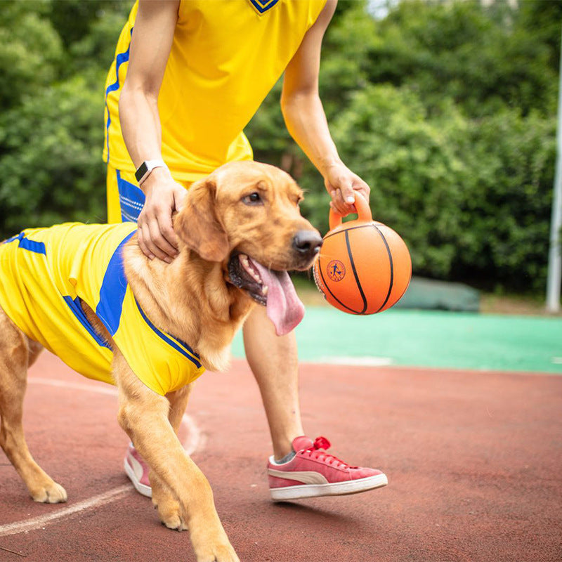Dog toy basketball with handle "Jumball"