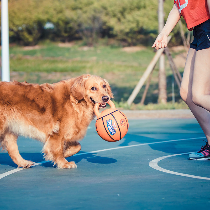 Dog toy basketball with handle "Jumball"