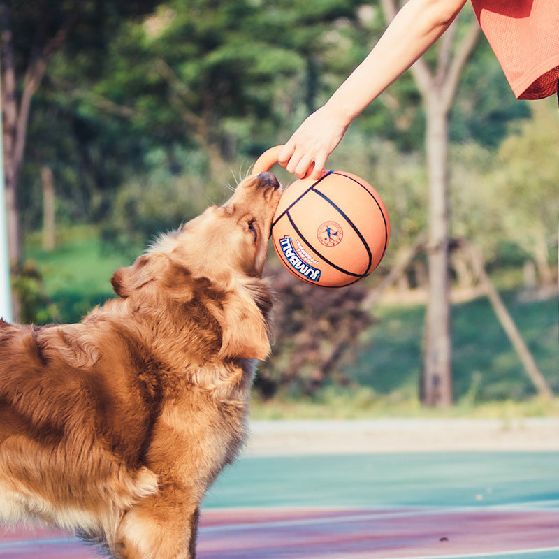 Dog toy basketball with handle "Jumball"