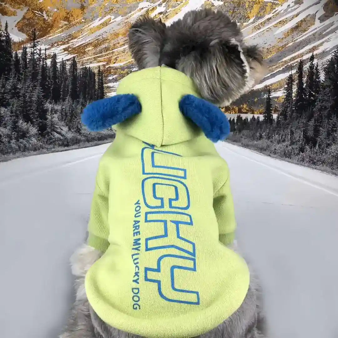 Felpa Cani Oops con Cappuccio e Orecchie - Cotone Caldo by Dog Moda