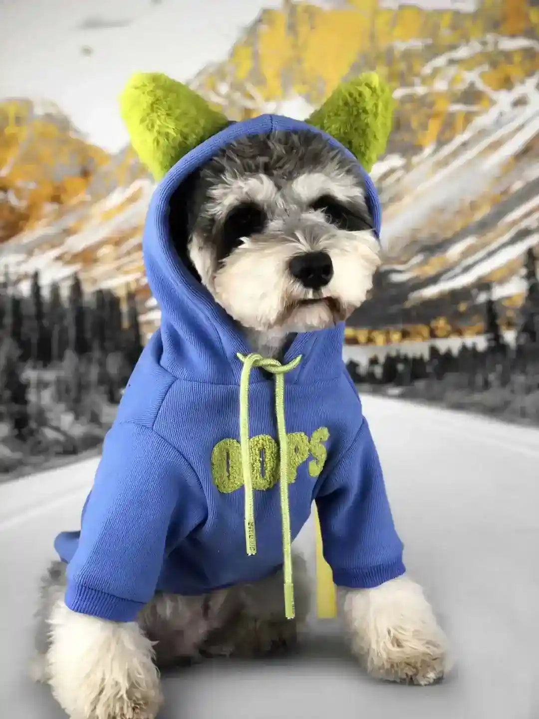 Felpa Cani Oops con Cappuccio e Orecchie - Cotone Caldo by Dog Moda